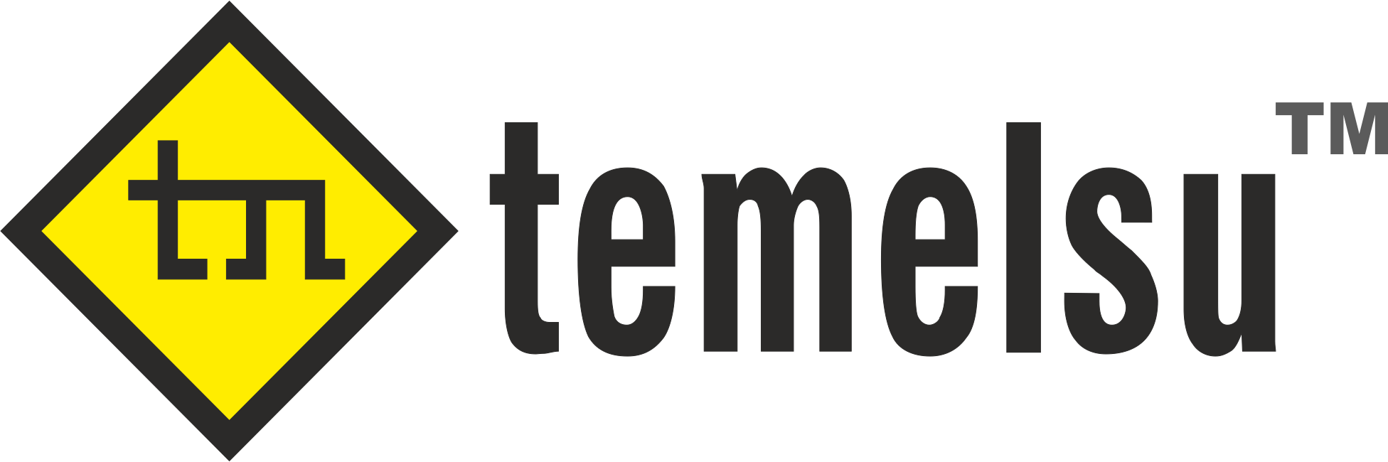 Temelsu International Engineering Services INC